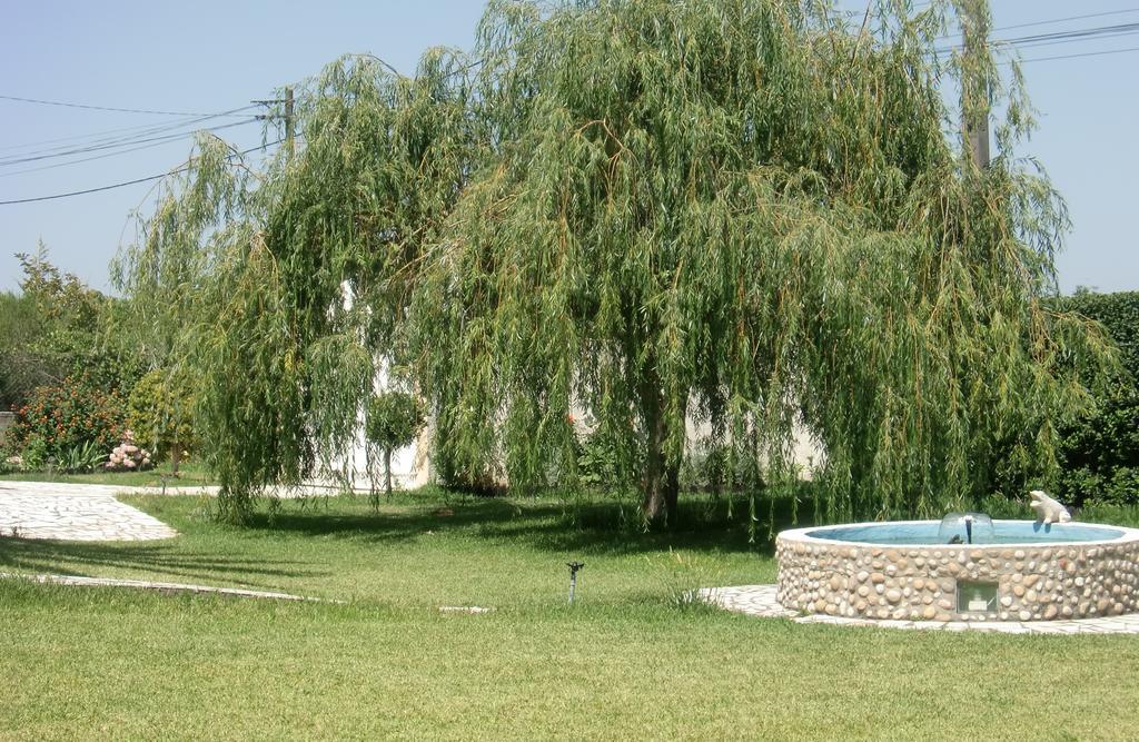 Quinta Da Harmonia Apartment Азейтау Екстериор снимка